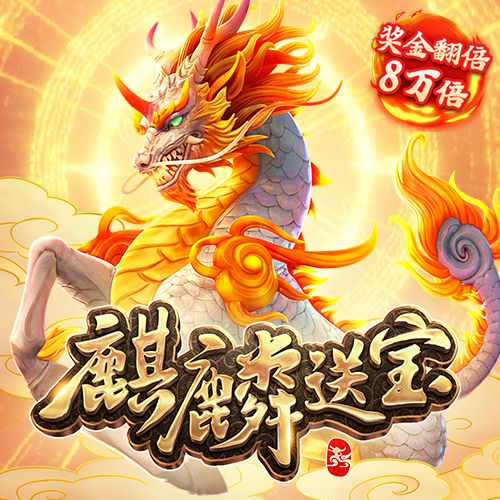 6163银河net